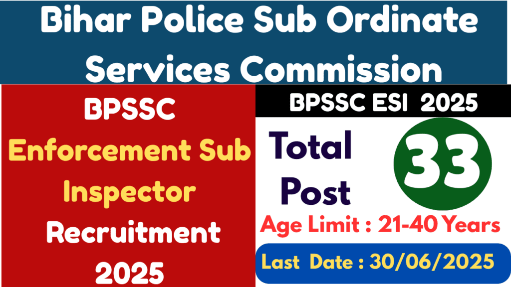 Enforcement Sub Inspector 2025