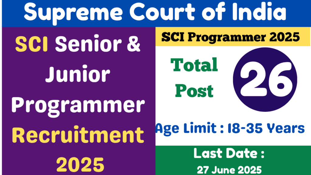 Senior & Junior Court Programmer 2025