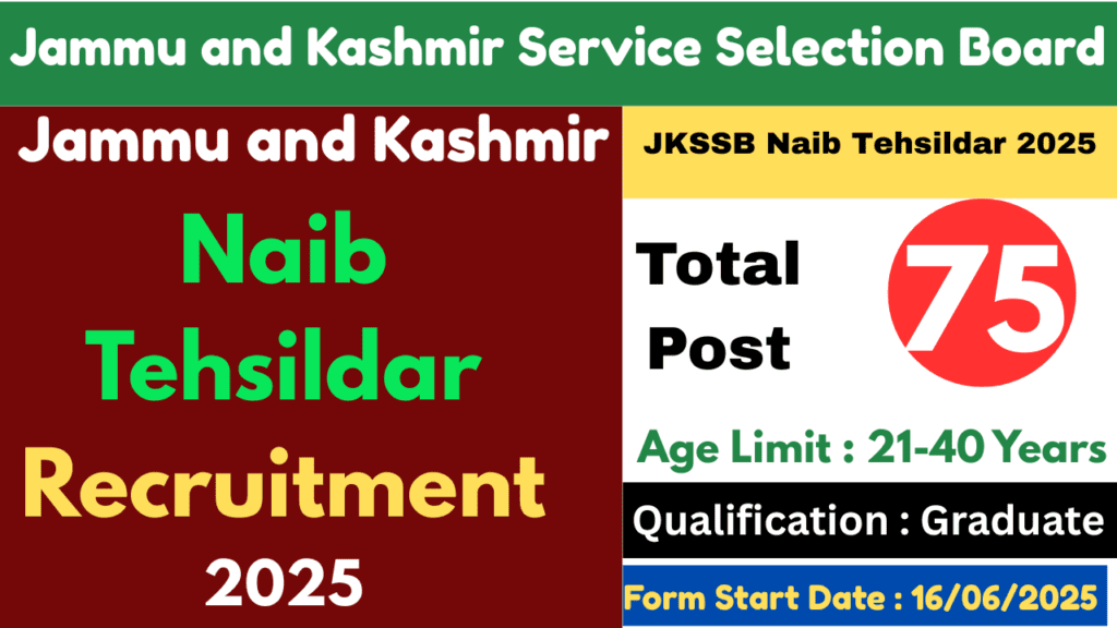 Naib Tehsildar (Revenue Department) 2025